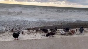 Последствия урагана в Лазаревском/От пляжа Багратион до ЖК Сан-Марино/Ответы на комментарии.