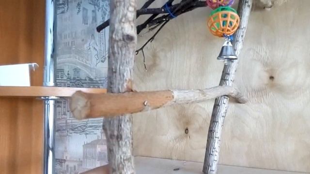 Как делать стенд для прогулок? смотреть онлайн