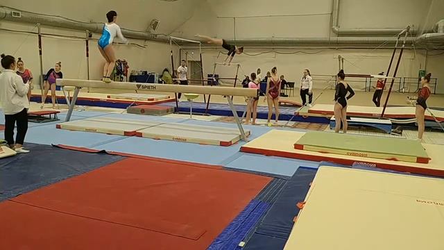 Спортивная гимнастика(упражнения на бревне, брусьях)
