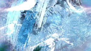 Зимующие птицы Сибири