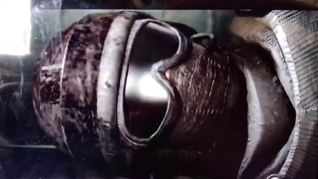 Kacey and Lukey react to Scp-096 vs Scp-173Scp-096 vs Scp-49Scp-49 vs Scp-35and Scp-096 vsScp-10