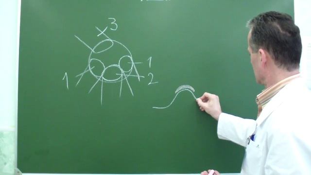 Топография пупочного кольца