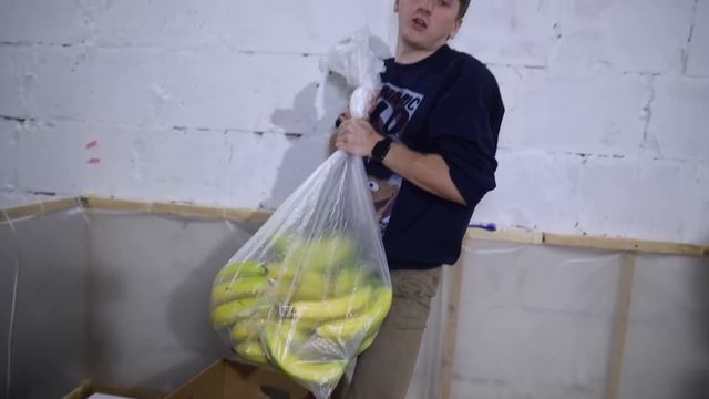 КАТОК ИЗ БАНАНОВЫХ ШКУРОК - DIY смотреть онлайн