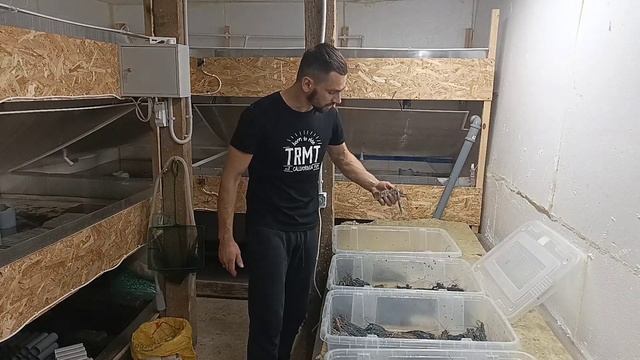 УЗВ своими руками для АККР. Как заработать с небольших УЗВ. Зачистка бассейнов. смотреть онлайн