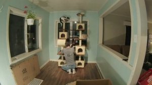 Домики для кошки с когтеточкой. Игровой комплекс «Питомник 5 домиков» для нескольких кошек