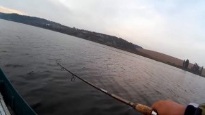 Deps Balisong 130sp. Трофейная рыбалка. Ловля щуки на воблеры (твичинг)