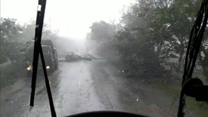 Два рейса в Евпаторию,  дождь с градом,  дерево на дороге! Конец вахты!