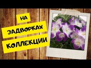 Не доходят руки! Как исправить дело?