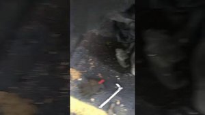 2014 Infinity q50 awd starter removal