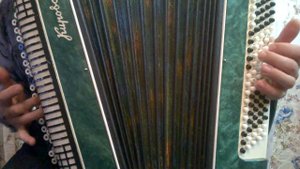 "Если б гармошка умела".Играем на баяне.