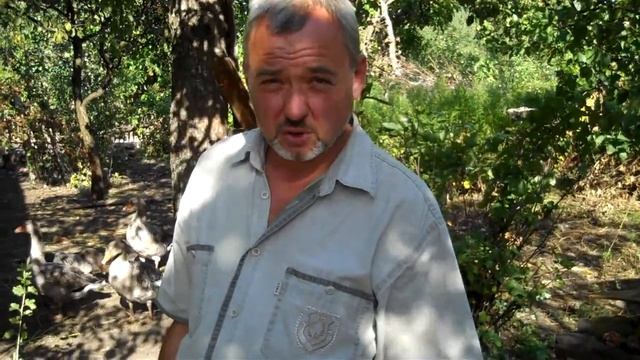 Закладка яиц на церковный праздник. смотреть онлайн