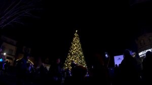 The Forum - Tree Lighting| 4K - Peachtree Corners, GA