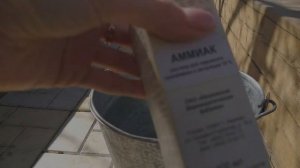 СРОЧНО ТЛИ НЕ БУДЕТ ЕСЛИ ПРОВЕСТИ ОБРАБОТКУ СМОРОДИНЫ СЕЙЧАС!!! Весенняя обработка от ТЛИ!!!