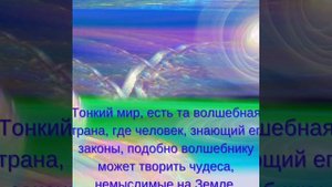 За гранью реальности