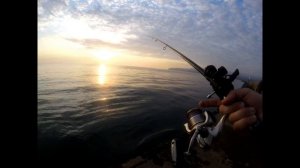 Needlefish fishing - Live Sandworm vs Marukyu Isome / Заргана -на морски червей или изкуствен черве