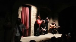 Flamenco na Montcada