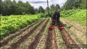 Окучивание минитрактором 4×4, т-16.