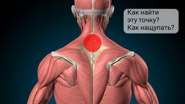 Все Точки Для Хиджамы Из Сунны I Точка Аль Кахиль I Как найти точки