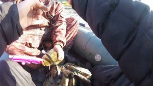 Воблер Strike Pro montero 130sp + щука на 2,7 килограмм