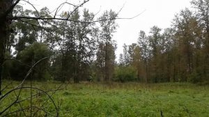 Илишевский район , село Базы -Куяново.