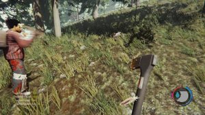 The Forest добываем панцирь черепахи