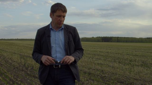 Пшеница двуручка Караван. Ставим эксперимент.