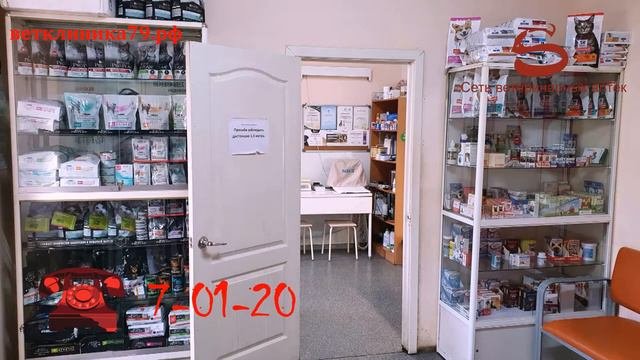 Ветеринарная клиника