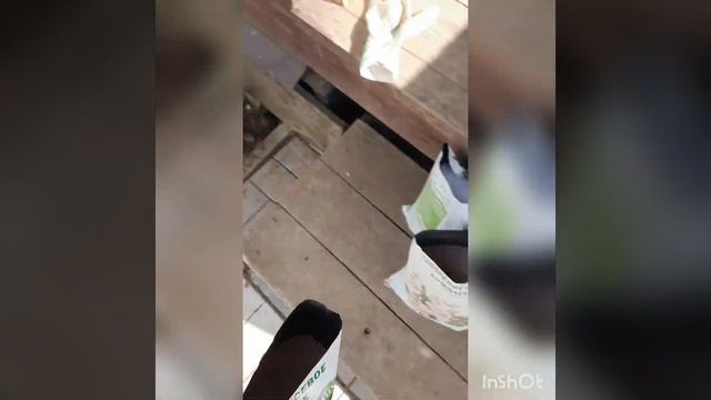 весенние удобрения для всего сада