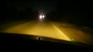 Светодиодные двухрежимные лампы С6 для птф