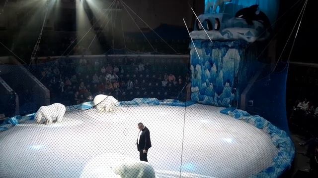 ЦИРКОВОЕ ПРЕДСТАВЛЕНИЕ - СЕВЕРНЫЕ МИШКИ смотреть онлайн