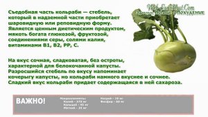 Капуста кольраби полезные свойства для похудения