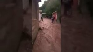 Краснолесье Крым