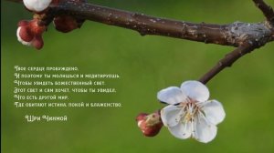 Диск "Be Thou My All". Музыка Шри Чинмоя в исполнении группы "Mountain Silence"