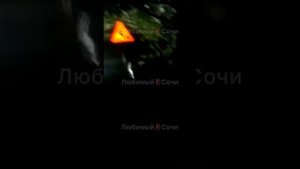 Упавшая в обрыв на месте ремонта дороги в Сочи женщина выиграла суд против администрации курорта