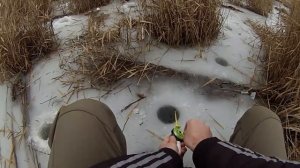 Ловля на силикон со льда.