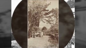 Ялта Ливадия  подборка фото 19век нач 20го (Что было на месте Ливадийского дворца)