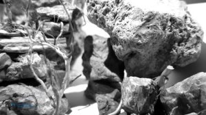 #hardscape#Акваскейпинг. #Аквадизайн. #Акваскейп. Аквариум 20 литров. #Хардскейп в маленьком объёме