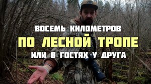 Восемь километров по лесной тропе.