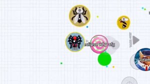 Agar.io Live Stream DNS: 8.8.8.8 1.6k Sub Grind