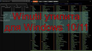 Winutil для Windows 11/10