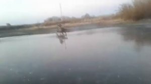 Мотоблок ЗДК