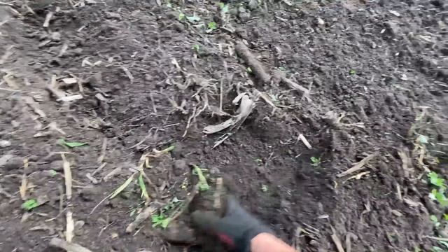 Дискую пари❗️супер диски Deft в роботі,роблять попіл АГД смокче в стороні смотреть онлайн