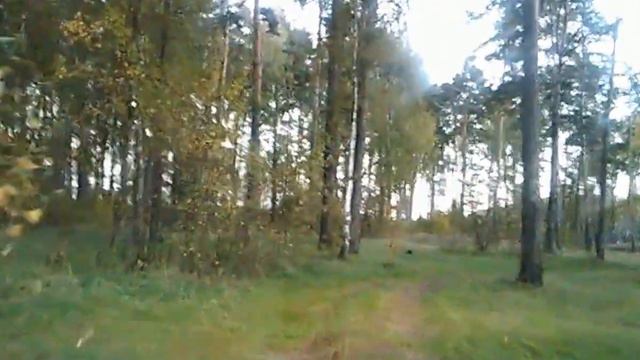 Подмосковье поездка в лесу. смотреть онлайн