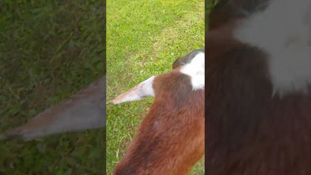 Карелия!!!!! мое сердце!!!! смотреть онлайн