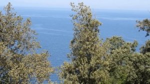 Старец Иосиф Исихаст. О благодати