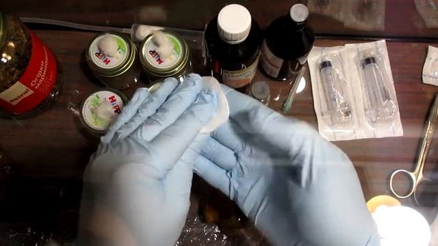 Маточный мицелий Шиитаке. Посев спор и клонирование мицелия плодового тела.