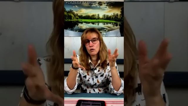 Вопросы о крассулах и портулакариях (запись прямого эфира). смотреть онлайн