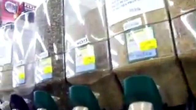 поход в зоомагазин