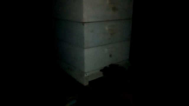 Разница терморегуляции в обычном улье и улье дупло. смотреть онлайн