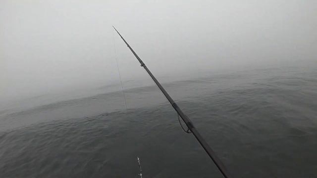 Отдых в Черногории. Рыбалка с берега на дикого сибаса. смотреть онлайн